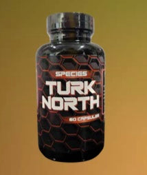 Turk North by BTP