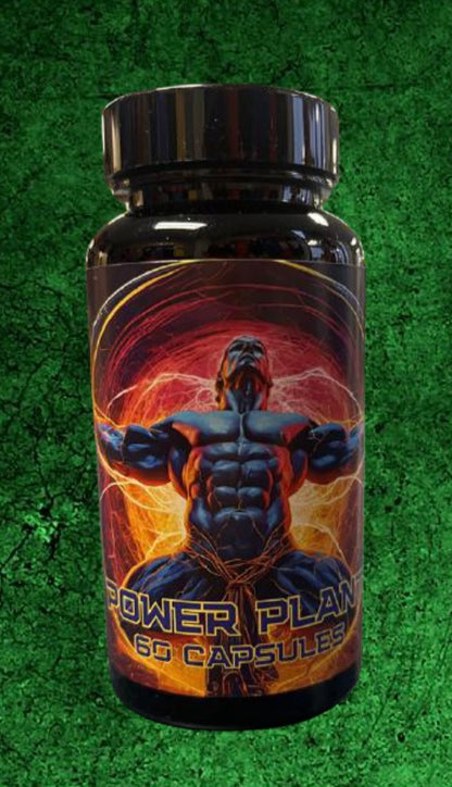 Power Plant by Exodus